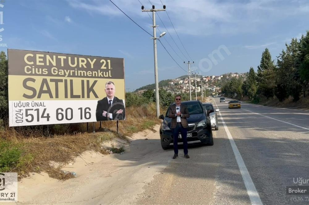 C21 Cius; Umurbey Asfaltına Cephe Deniz Manzaralı Emsalsiz Zeyt