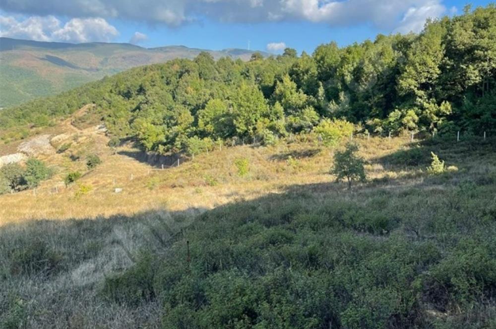 C21 Cius; Bursa/Gemlik Haydariye Köyünde 9.077 M2 Satılık Tarla