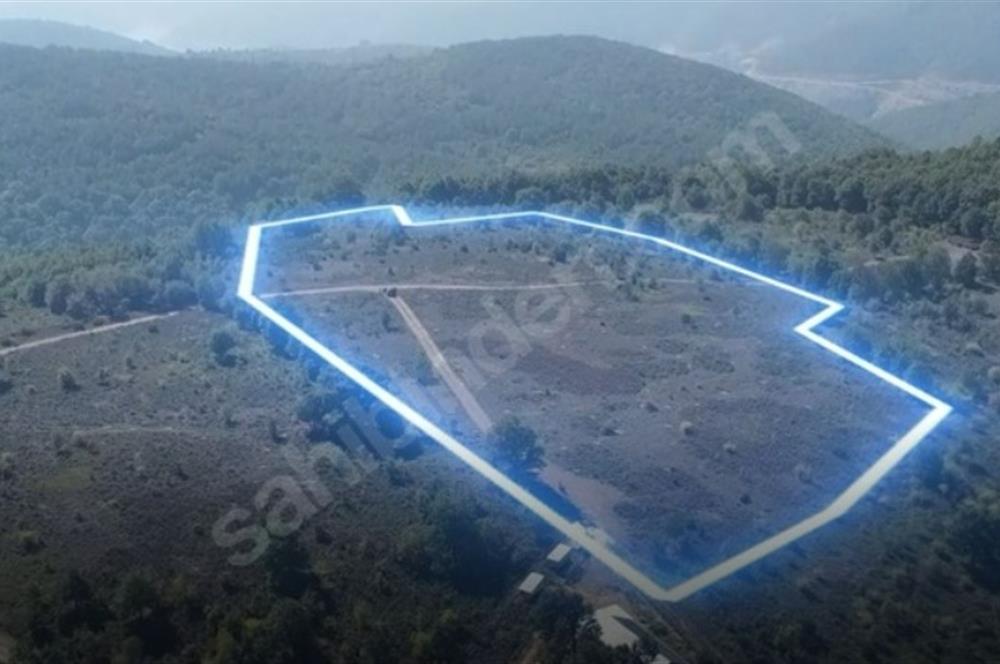C21 Cius; Bursa/Gemlik Haydariye Köyünde 21.920 M2 Satılık Tarla