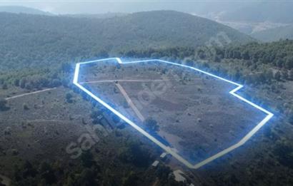 C21 Cius; Bursa/Gemlik Haydariye Köyünde 21.920 M2 Satılık Tarla