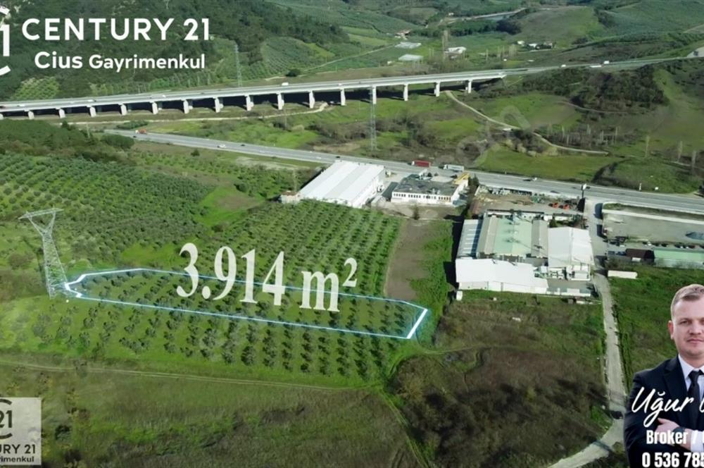 C21 Cius; Bursa Yalova Yoluna 200 m. Ticari İmar Sınırında Zeyt.