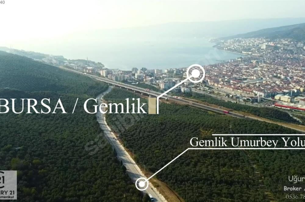 C21 Cius; Umurbey Asfaltına Cephe Deniz Manzaralı Emsalsiz Zeyt