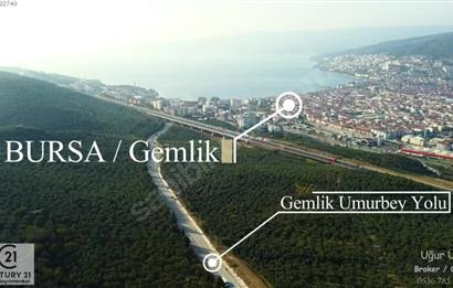 C21 Cius; Umurbey Asfaltına Cephe Deniz Manzaralı Emsalsiz Zeyt