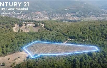 C21 Cius; Bursa/Gemlik Haydariye Köyünde 9.077 M2 Satılık Tarla