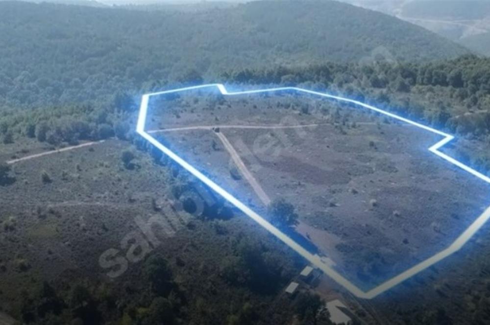 C21 Cius; Bursa/Gemlik Haydariye Köyünde 21.920 M2 Satılık Tarla
