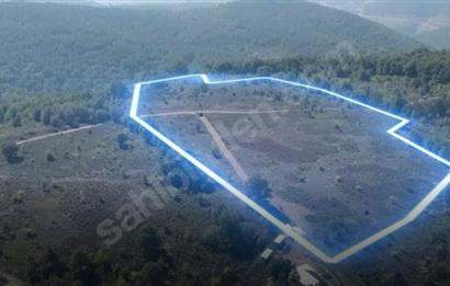 C21 Cius; Bursa/Gemlik Haydariye Köyünde 21.920 M2 Satılık Tarla