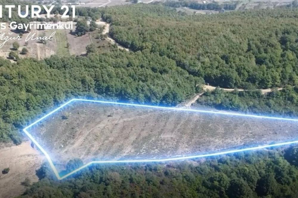 C21 Cius; Bursa/Gemlik Haydariye Köyünde 9.077 M2 Satılık Tarla