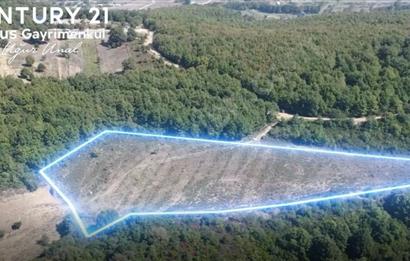 C21 Cius; Bursa/Gemlik Haydariye Köyünde 9.077 M2 Satılık Tarla
