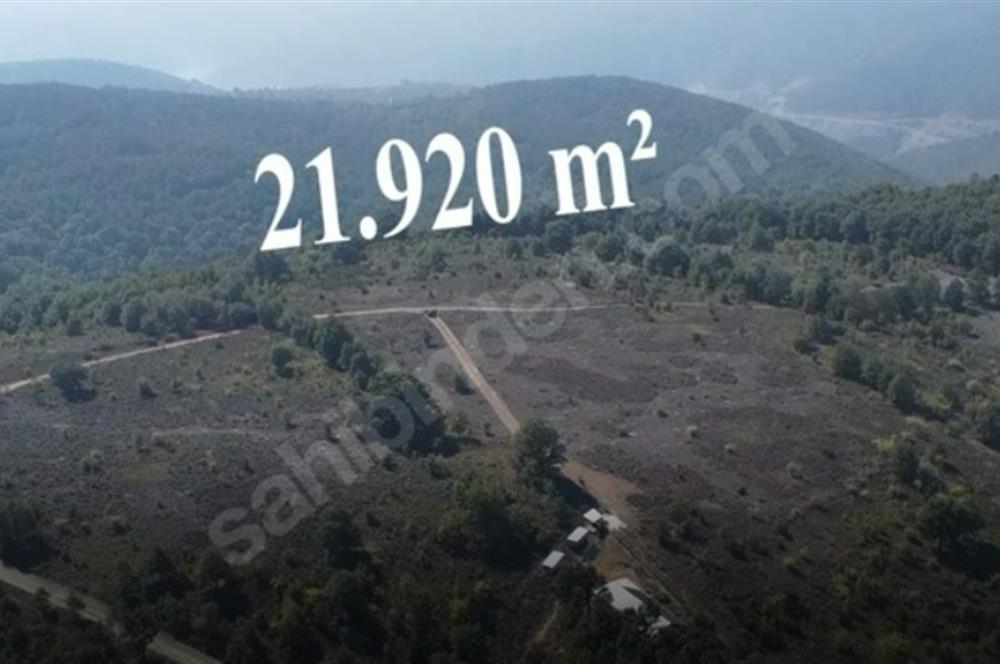 C21 Cius; Bursa/Gemlik Haydariye Köyünde 21.920 M2 Satılık Tarla