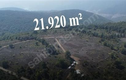 C21 Cius; Bursa/Gemlik Haydariye Köyünde 21.920 M2 Satılık Tarla
