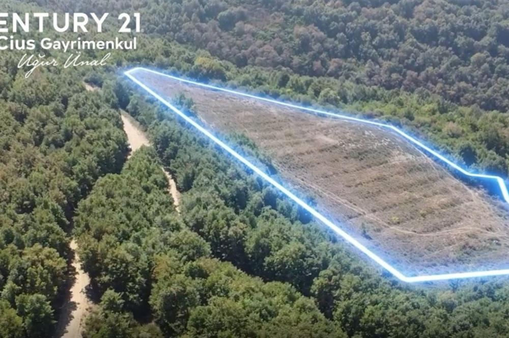 C21 Cius; Bursa/Gemlik Haydariye Köyünde 9.077 M2 Satılık Tarla