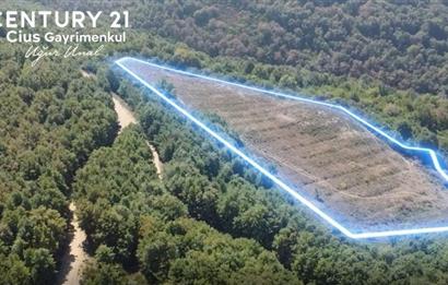 C21 Cius; Bursa/Gemlik Haydariye Köyünde 9.077 M2 Satılık Tarla