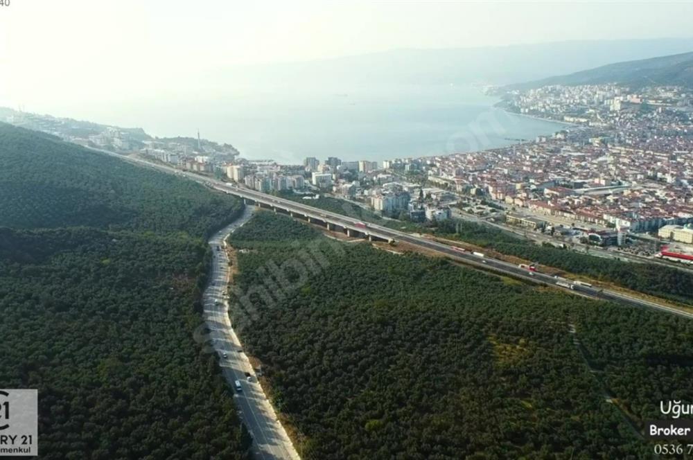 C21 Cius; Umurbey Asfaltına Cephe Deniz Manzaralı Emsalsiz Zeyt