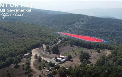 C21 Cius; Bursa/Gemlik Haydariye Köyünde 9.077 M2 Satılık Tarla