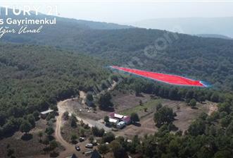 C21 Cius; Bursa/Gemlik Haydariye Köyünde 9.077 M2 Satılık Tarla