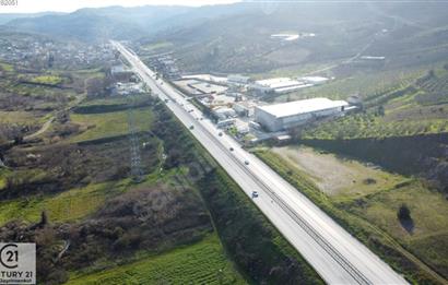 C21 Cius; Bursa Yalova Yoluna 200 m. Ticari İmar Sınırında Zeyt.