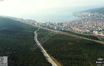 C21 Cius; Umurbey Asfaltına Cephe Deniz Manzaralı Emsalsiz Zeyt