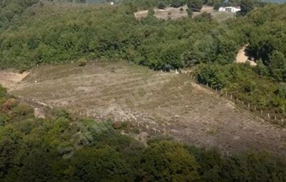 C21 Cius; Bursa/Gemlik Haydariye Köyünde 9.077 M2 Satılık Tarla