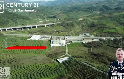 C21 Cius; Bursa Yalova Yoluna 200 m. Ticari İmar Sınırında Zeyt.