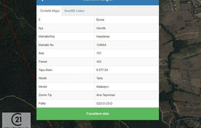 C21 Cius; Bursa/Gemlik Haydariye Köyünde 9.077 M2 Satılık Tarla