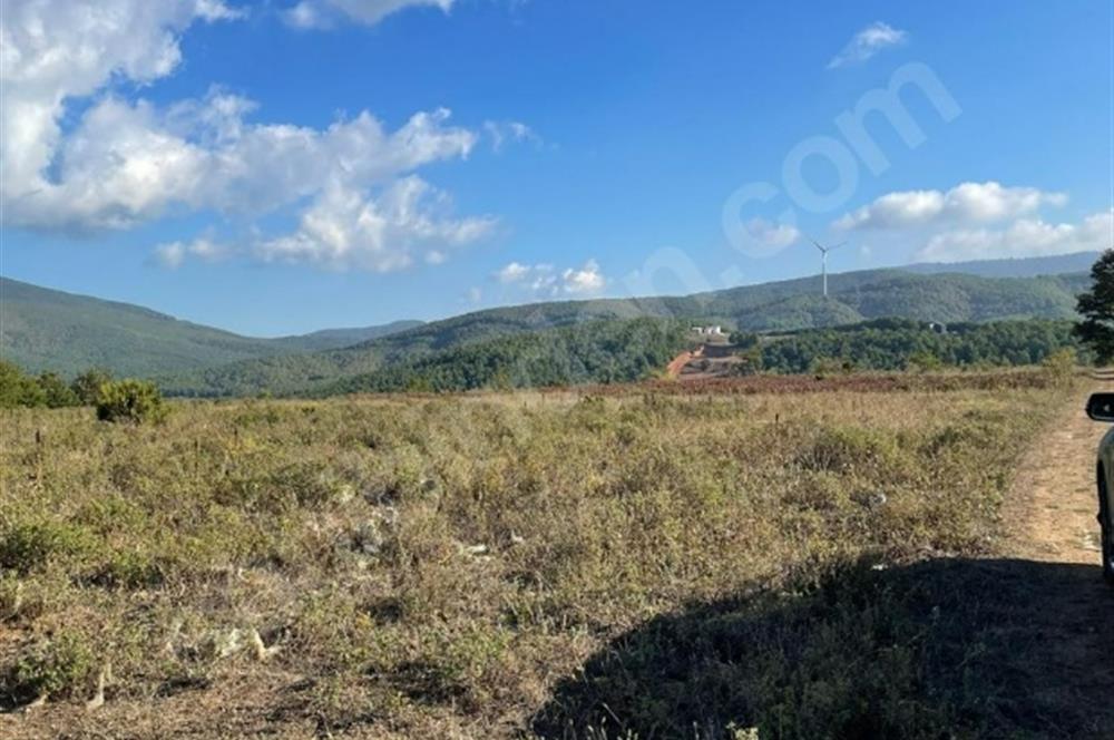 C21 Cius; Bursa/Gemlik Haydariye Köyünde 21.920 M2 Satılık Tarla
