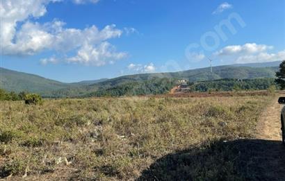 C21 Cius; Bursa/Gemlik Haydariye Köyünde 21.920 M2 Satılık Tarla