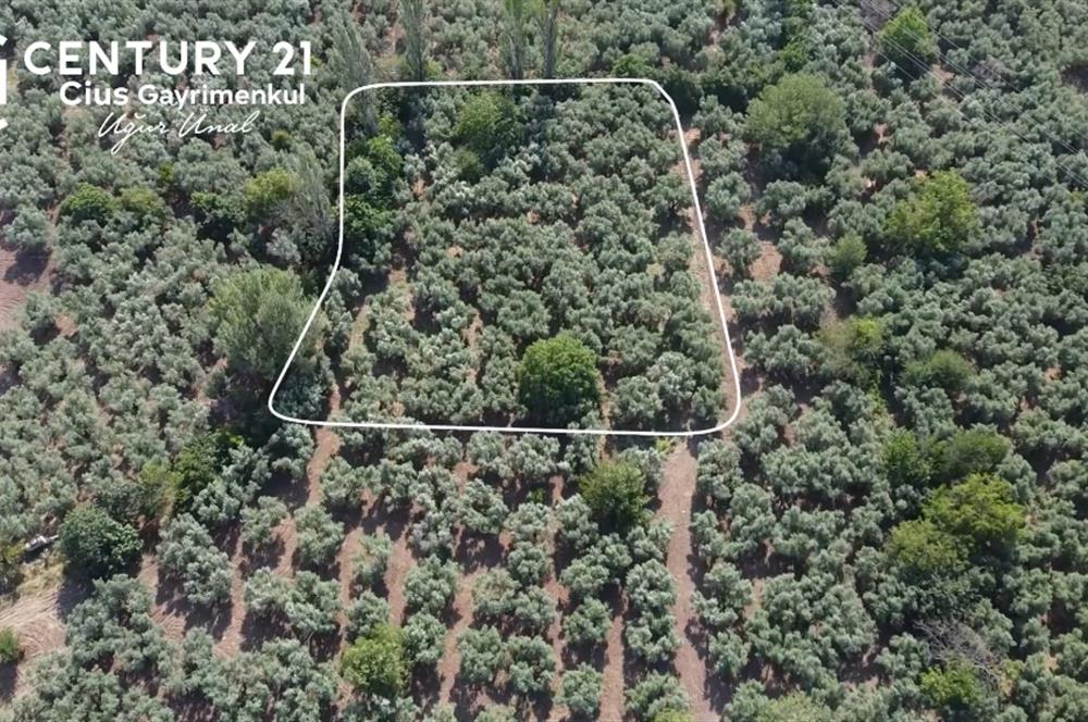 C21 Cius;Engürücükte Dev Yatırımlık 3632m2 Arazi TOGG'a Komşu