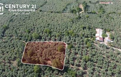 C21 Cius;Engürücükte Dev Yatırımlık 3632m2 Arazi TOGG'a Komşu