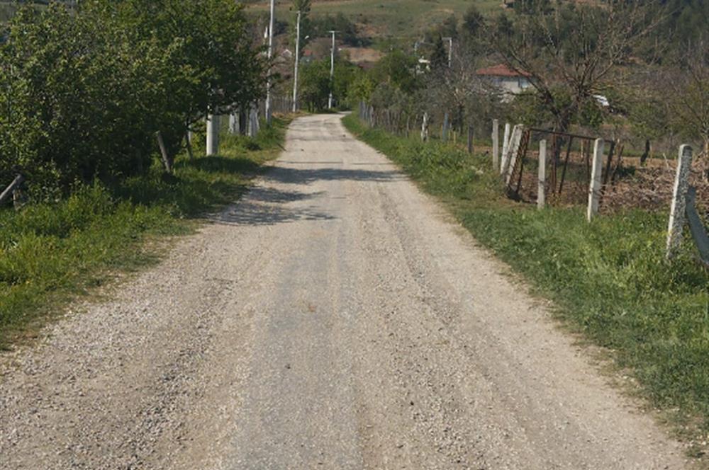 SAKARYA GEYVE DE YATIRIMLIK MÜSTAKİL TARLA