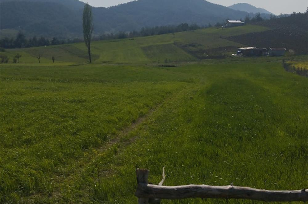 SAKARYA GEYVE DE YATIRIMLIK MÜSTAKİL TARLA