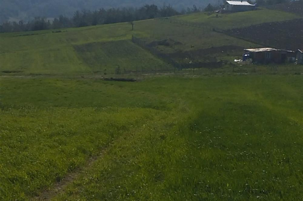 SAKARYA GEYVE DE YATIRIMLIK MÜSTAKİL TARLA