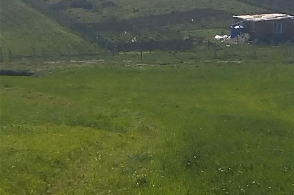 SAKARYA GEYVE DE YATIRIMLIK MÜSTAKİL TARLA