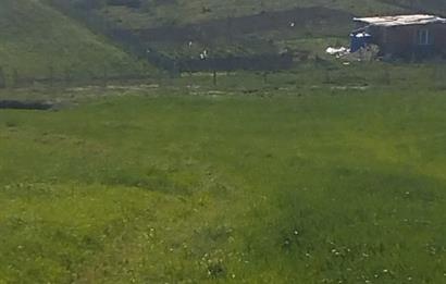 SAKARYA GEYVE DE YATIRIMLIK MÜSTAKİL TARLA
