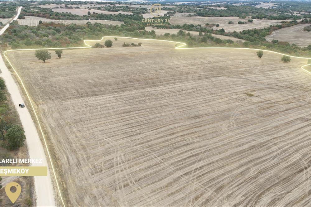 C21 BAL'DAN 135 DÖNÜM TEK PARÇA//PROJE GELİŞTİRMEYE UYGUN TARLA