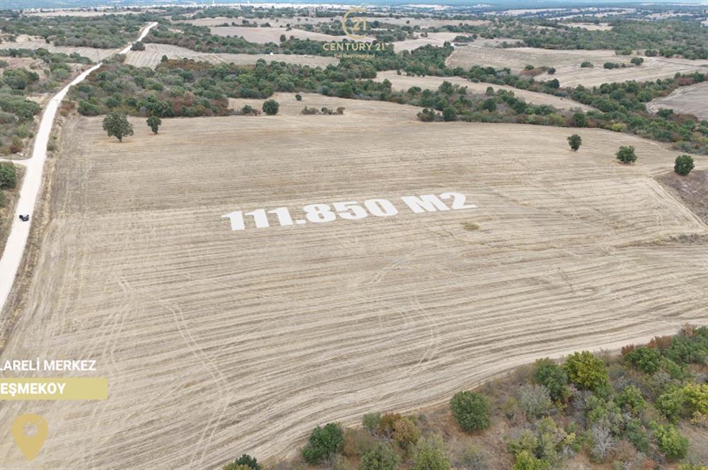 C21 BAL'DAN 135 DÖNÜM TEK PARÇA//PROJE GELİŞTİRMEYE UYGUN TARLA