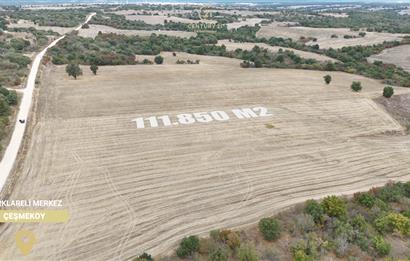 C21 BAL'DAN 135 DÖNÜM TEK PARÇA//PROJE GELİŞTİRMEYE UYGUN TARLA