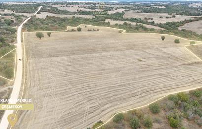 C21 BAL'DAN 135 DÖNÜM TEK PARÇA//PROJE GELİŞTİRMEYE UYGUN TARLA
