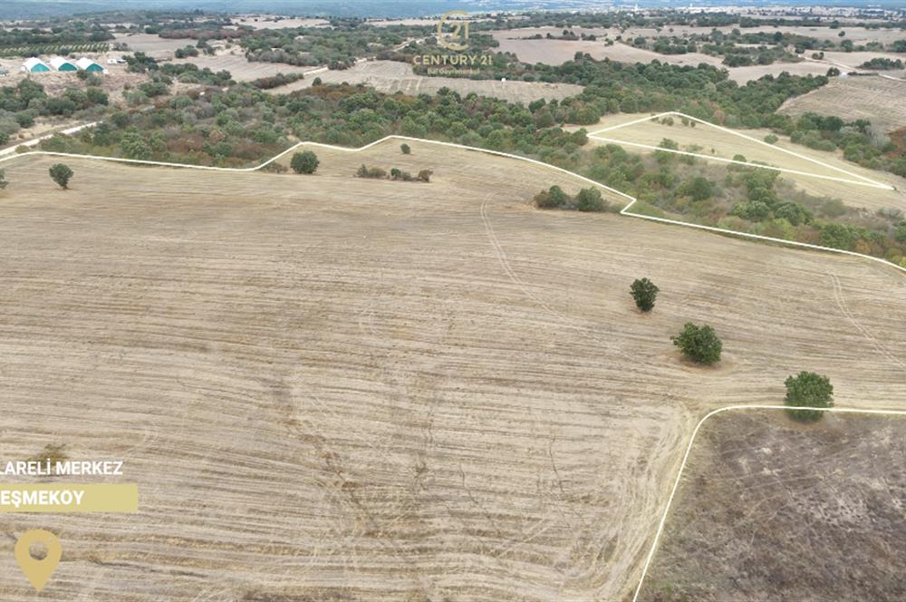 C21 BAL'DAN 135 DÖNÜM TEK PARÇA//PROJE GELİŞTİRMEYE UYGUN TARLA