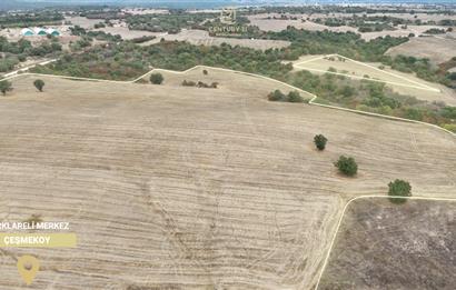 C21 BAL'DAN 135 DÖNÜM TEK PARÇA//PROJE GELİŞTİRMEYE UYGUN TARLA