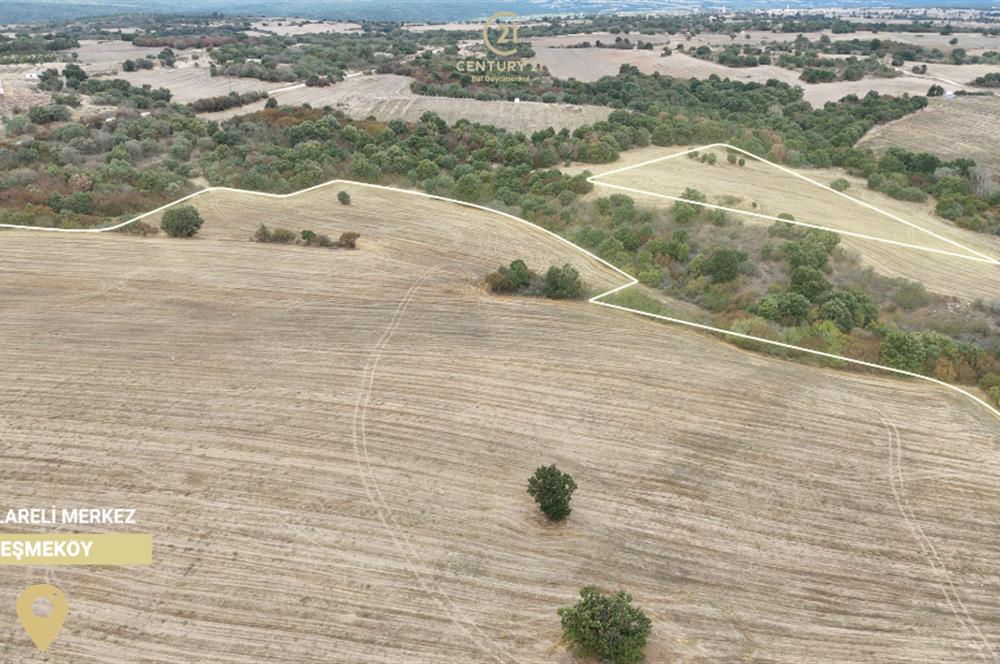 C21 BAL'DAN 135 DÖNÜM TEK PARÇA//PROJE GELİŞTİRMEYE UYGUN TARLA
