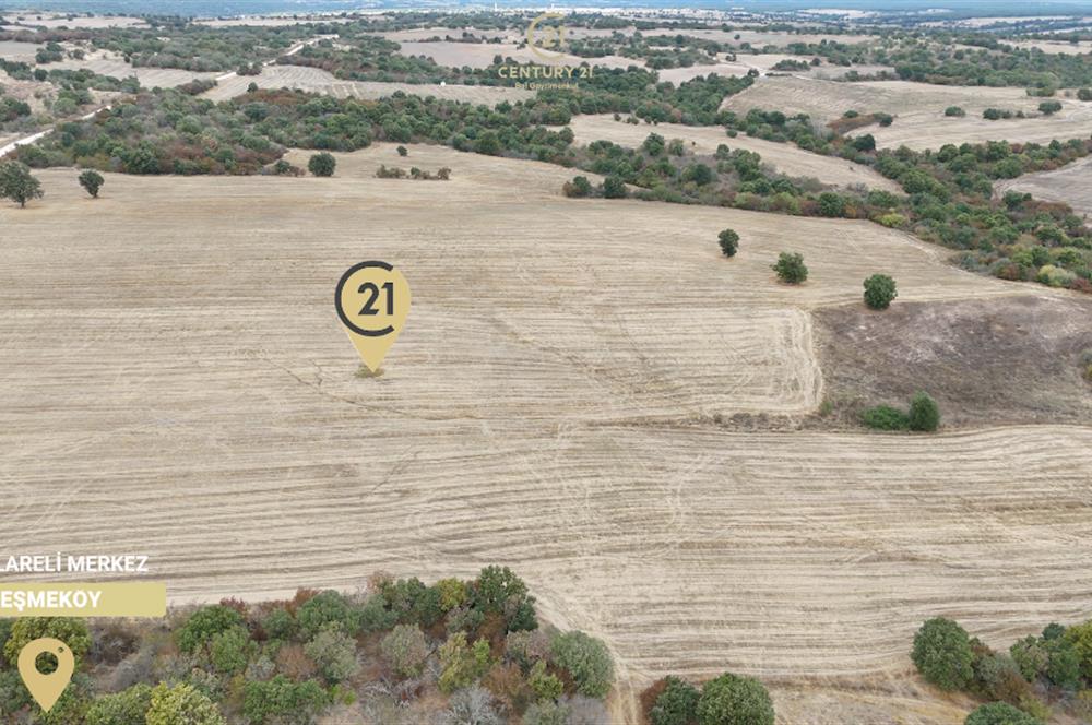 C21 BAL'DAN 135 DÖNÜM TEK PARÇA//PROJE GELİŞTİRMEYE UYGUN TARLA