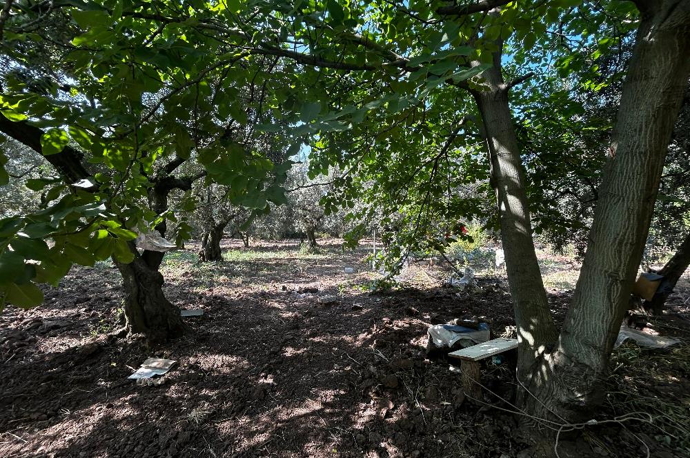 C21 Cius;Engürücükte Dev Yatırımlık 3632m2 Arazi TOGG'a Komşu