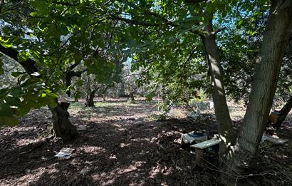 C21 Cius;Engürücükte Dev Yatırımlık 3632m2 Arazi TOGG'a Komşu