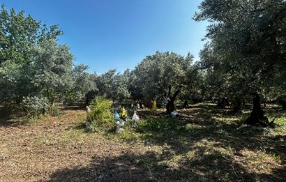 C21 Cius;Engürücükte Dev Yatırımlık 3632m2 Arazi TOGG'a Komşu