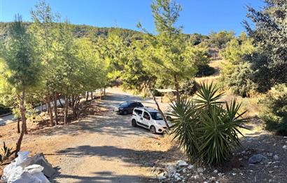 Bodrum Merkezde Deniz Manzaralı Bahçe Katı 3+1 Daire