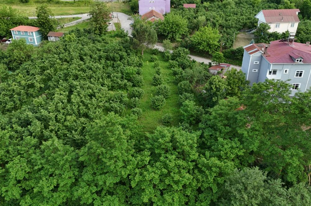 Century 21'den Kurtulmuşta Satılık Fırsat Arazi 