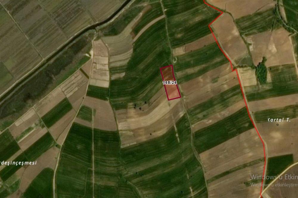 Edirne Uzunköprü Köyü’nde Yunanistana Komşu Tarla