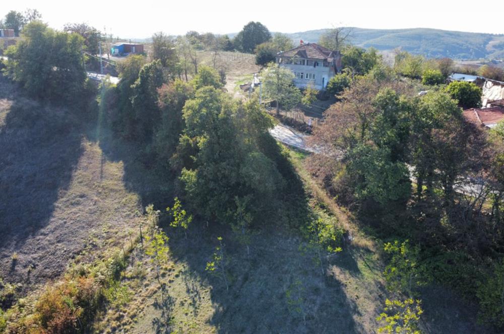 SULTANİYE'DE İMARIN DİBİNDE FIRSAT TARLA
