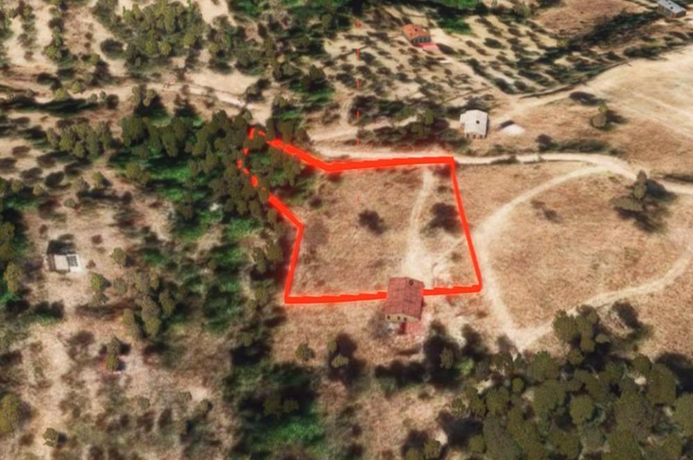 🌿 İzmir Karaburun Mordoğan’da Ana Yola Yakın, Tek Tapulu 3.646 m² Satılık Tarla