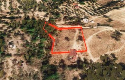 🌿 İzmir Karaburun Mordoğan’da Ana Yola Yakın, Tek Tapulu 3.646 m² Satılık Tarla